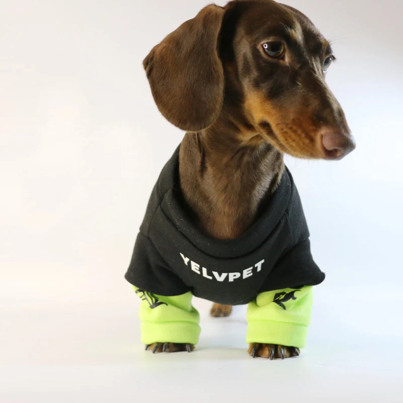 Fashion Dog Clothes For Dachshund French Bulldog Spring Warm Pet Clothing Dog Jacket Pug Sweater Jumpsuit For Samll Media Dogs