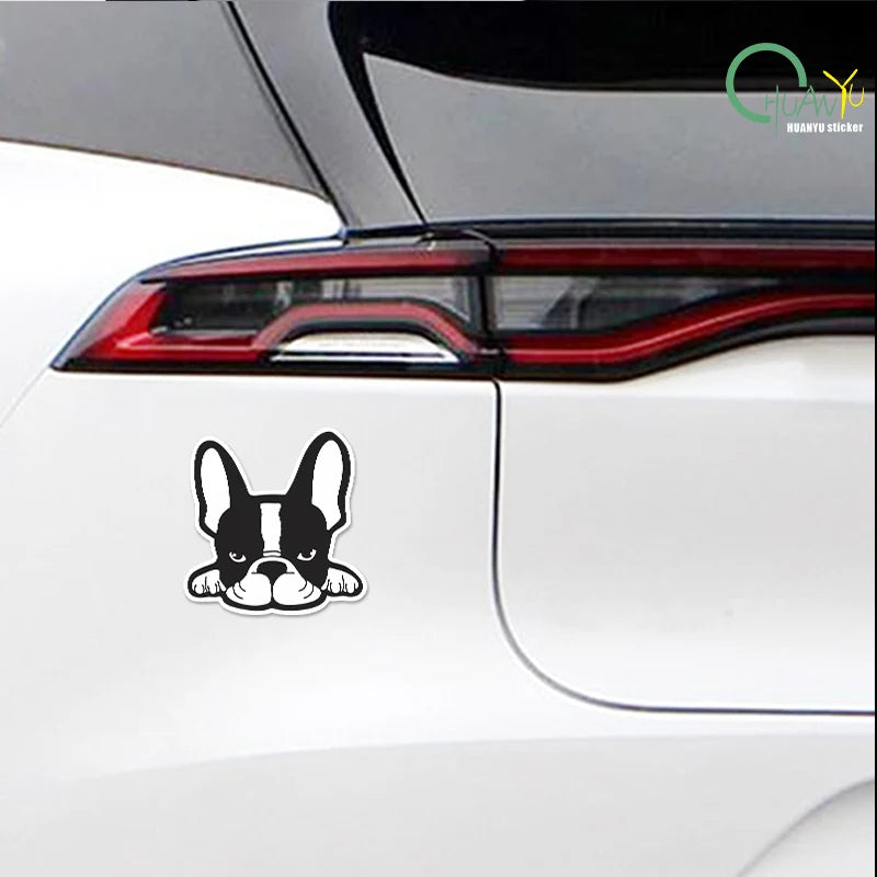 French Bulldog puppy personality decoration sticker; motorcycle scratch cover; funny creative car reflective waterproof sticker.