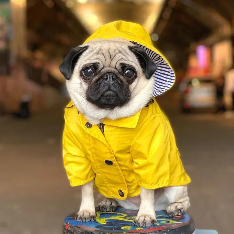 Fashion French Bulldog Pet Rain Coat for Small Medium Dogs Waterproof Puppy Dog Clothes Pug Corgi Pitbull mascotas Raincoat