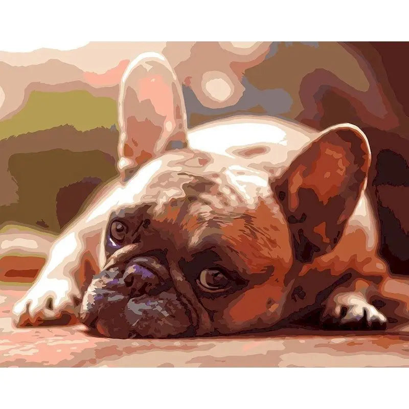 PhotoCustom Painting By Number Colorful French Bulldogs DIY Kits On Canvas Acrylic Paint Oil Picture Of Coloring By Number Decor