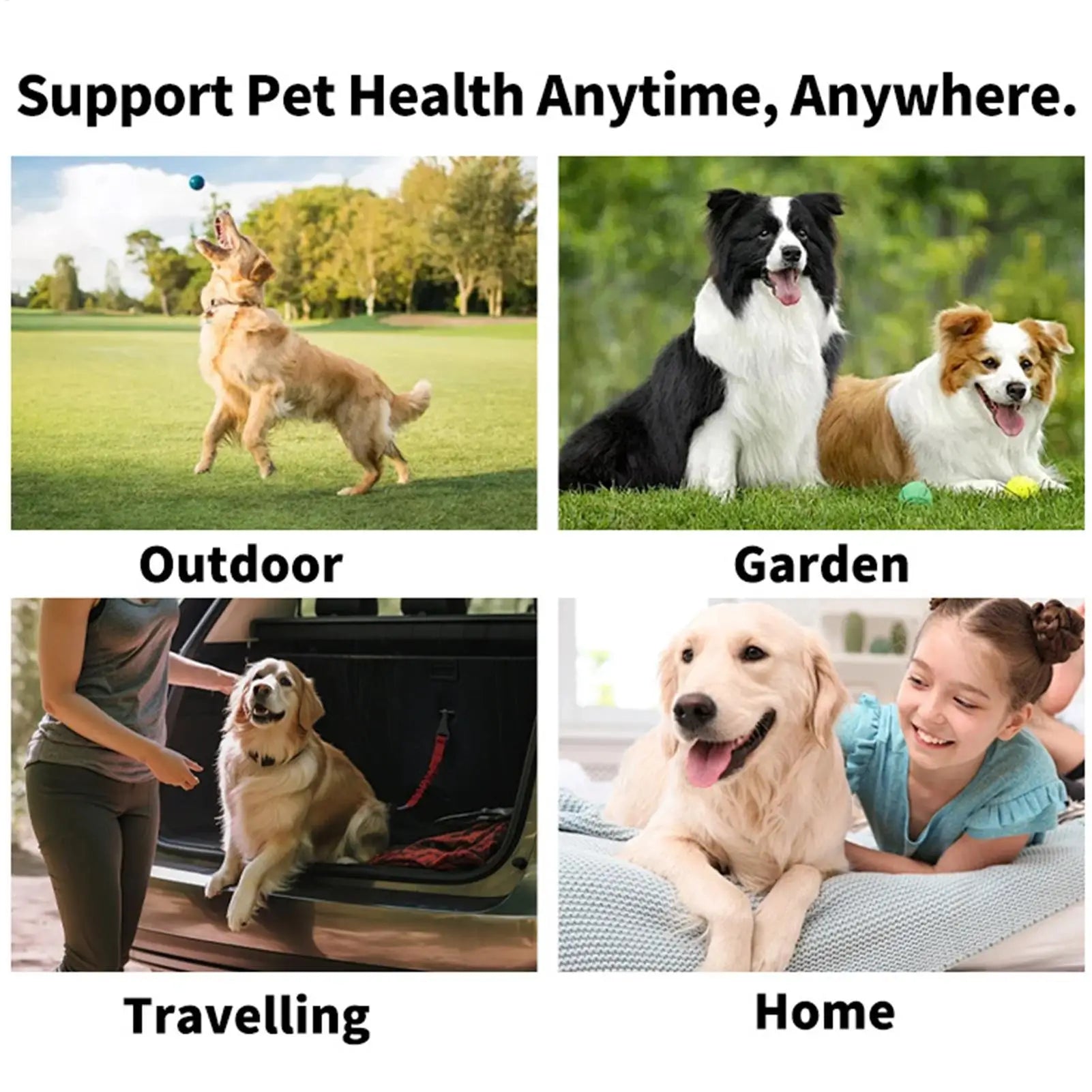 Dog Teeth Finger Wipes 50-Pieces Teeth Cleaner Wipes for Dog Brushing Pet Supplies Dog Cat Bad Breath Wipes for Camping After