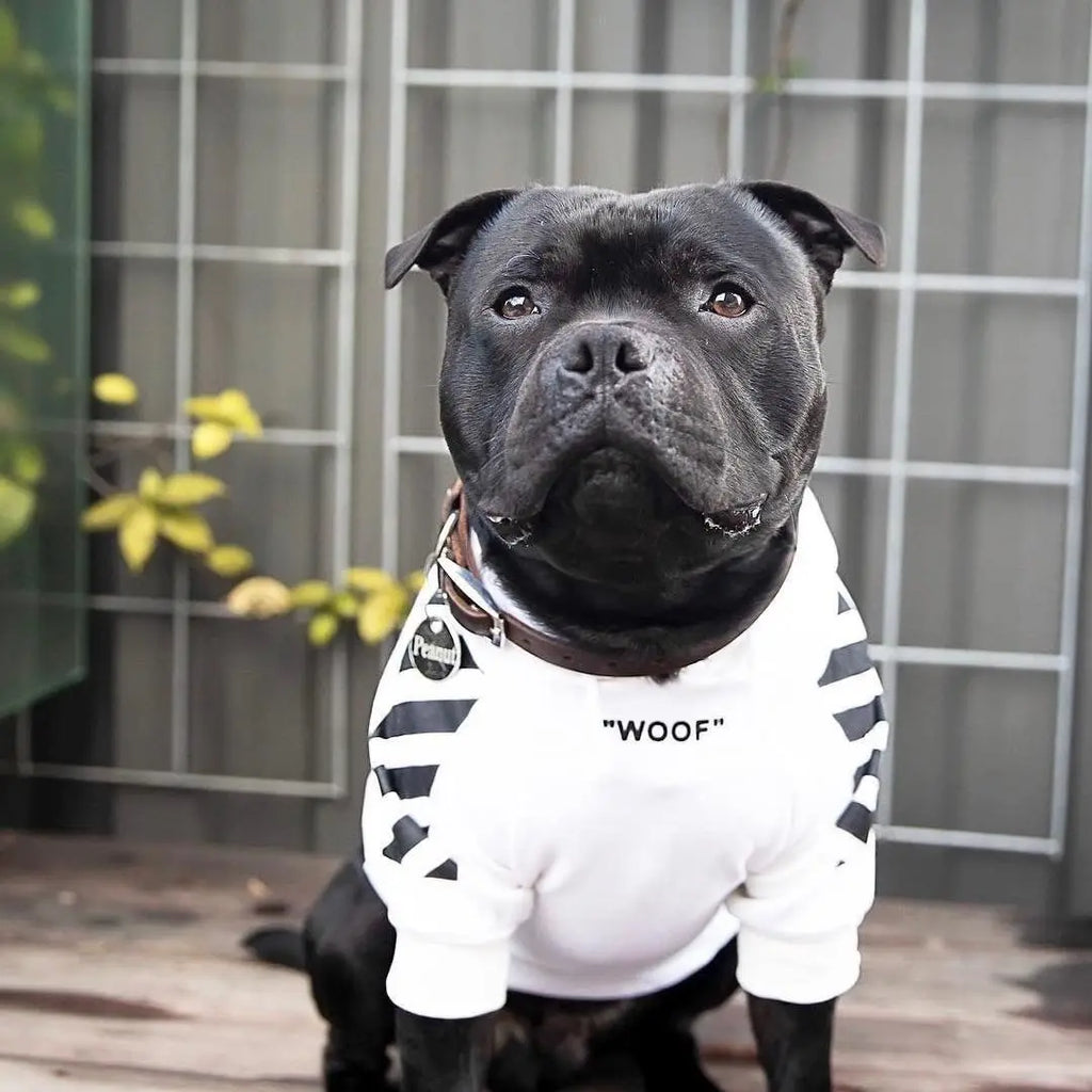 Pet Dog Clothes for French Bulldog Adidog Stripe Pattern Dogs Hoodie Clothes Jacket for French Bulldog