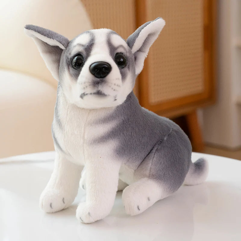 20cm 8 inches Plush Dog Soft Toys Kawaii Baby Dalmatian Bulldog Beagle Chihuahua Stuffed Animal Cute Gift for Girl Boy Xmas