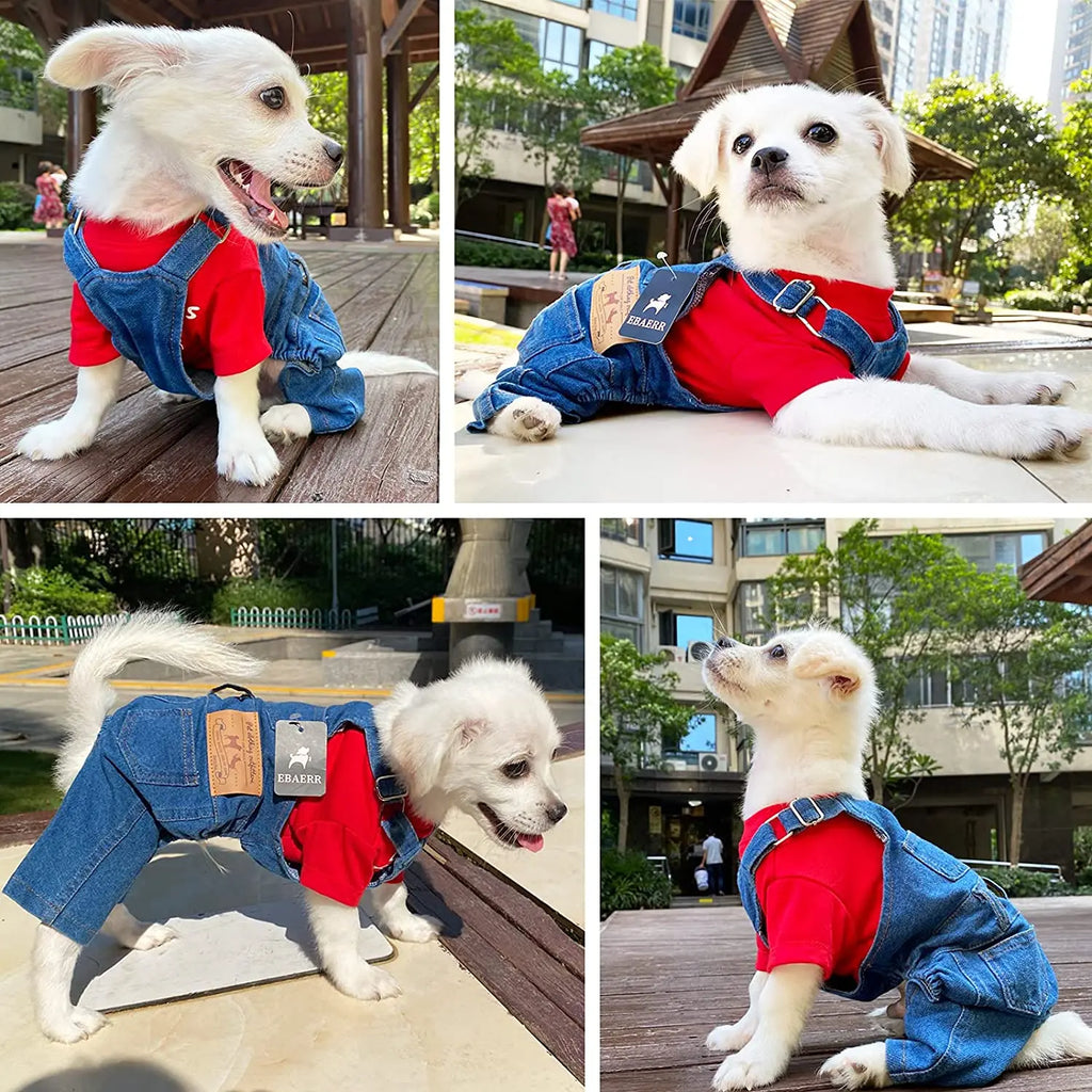 Denim Pet Overalls for French Bulldog, Jean Jumpsuit for Small and Medium Dogs, Fashion Clothes, Spring and Summer