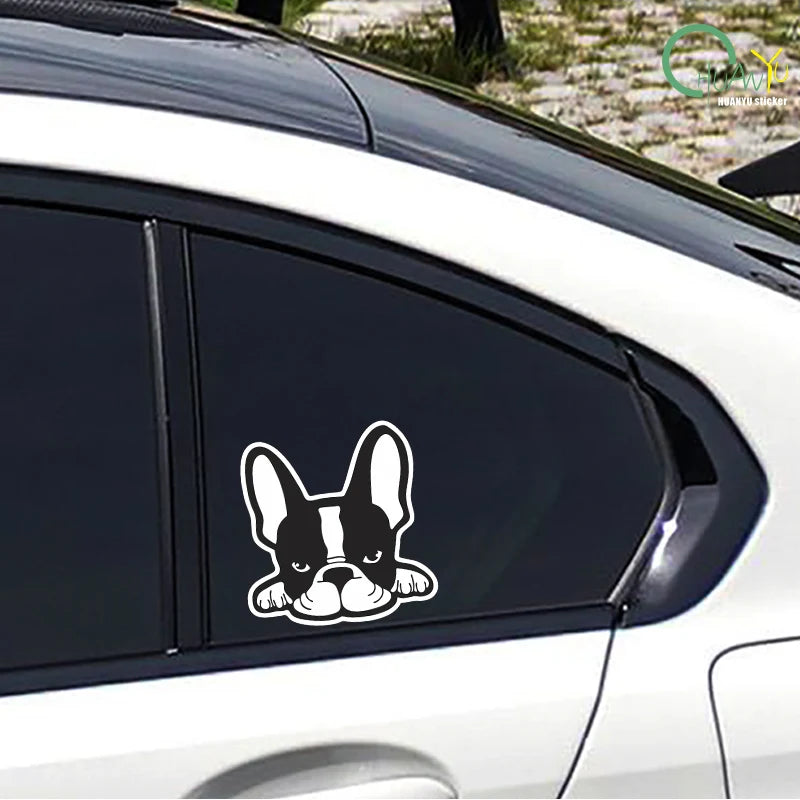 French Bulldog puppy personality decoration sticker; motorcycle scratch cover; funny creative car reflective waterproof sticker.
